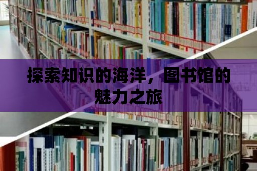 探索知識(shí)的海洋，圖書(shū)館的魅力之旅