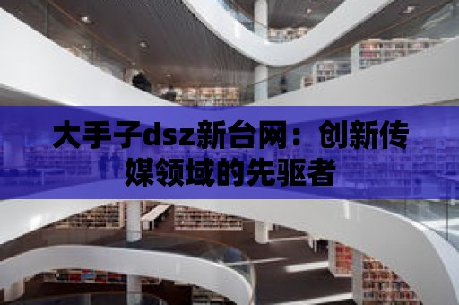 大手子dsz新臺網：創新傳媒領域的先驅者