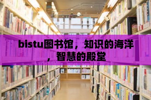 bistu圖書館，知識(shí)的海洋，智慧的殿堂