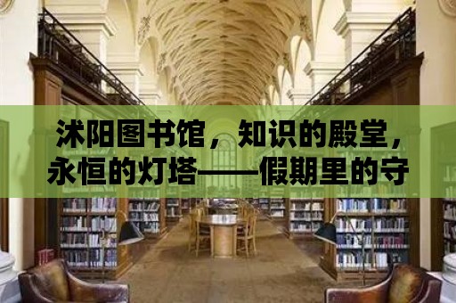 沭陽圖書館，知識的殿堂，永恒的燈塔——假期里的守望者