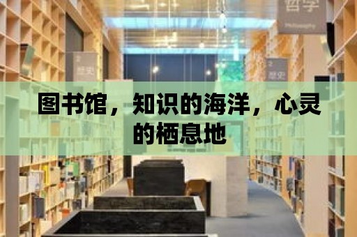 圖書館，知識的海洋，心靈的棲息地