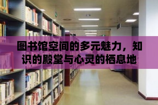 圖書館空間的多元魅力，知識的殿堂與心靈的棲息地