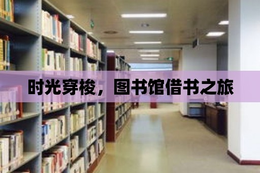 時光穿梭，圖書館借書之旅