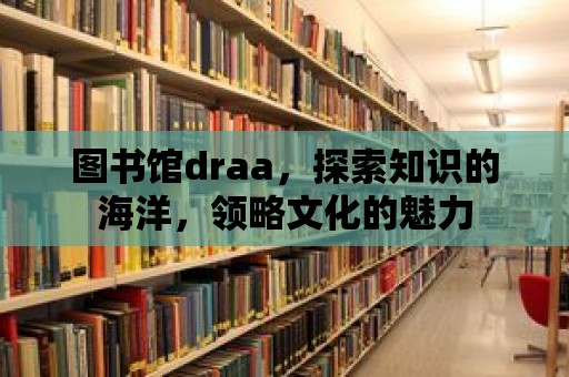 圖書館draa，探索知識的海洋，領略文化的魅力