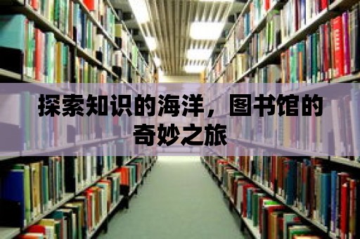 探索知識的海洋，圖書館的奇妙之旅