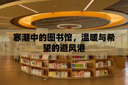 寒潮中的圖書館，溫暖與希望的避風港