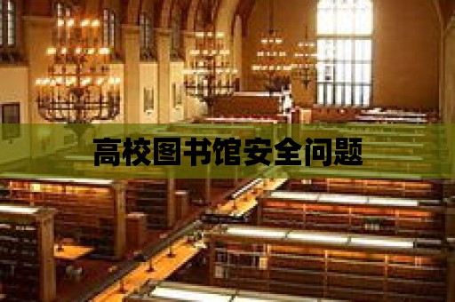 高校圖書館安全問題