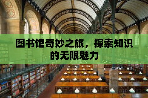 圖書館奇妙之旅，探索知識的無限魅力