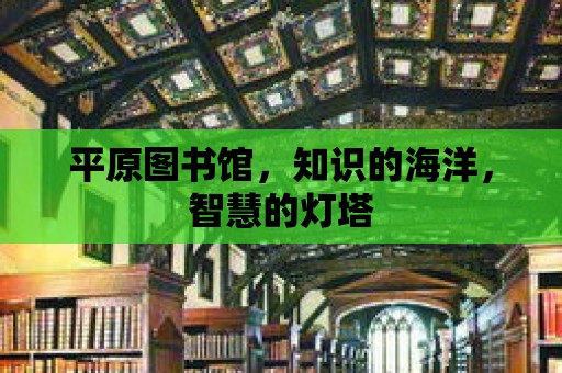 平原圖書館，知識的海洋，智慧的燈塔