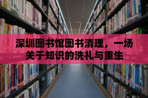 深圳圖書館圖書清理，一場關(guān)于知識的洗禮與重生