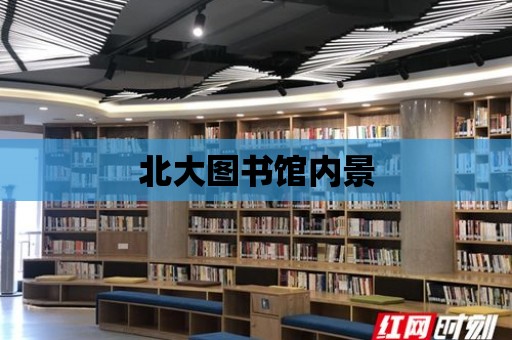 北大圖書館內景