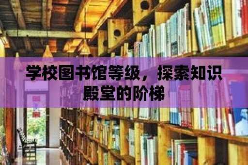 學校圖書館等級，探索知識殿堂的階梯