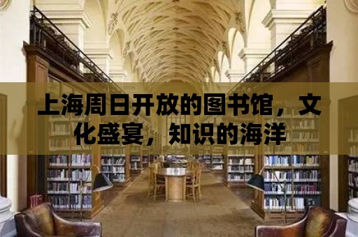 上海周日開放的圖書館，文化盛宴，知識的海洋