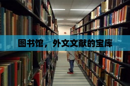 圖書館，外文文獻的寶庫