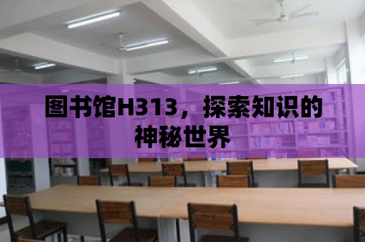 圖書館H313，探索知識的神秘世界