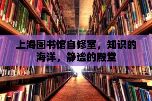 上海圖書館自修室，知識的海洋，靜謐的殿堂