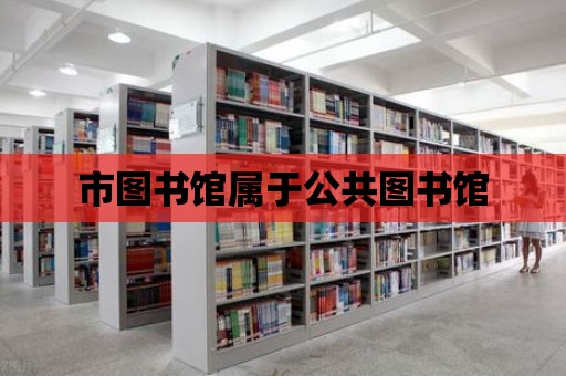 市圖書館屬于公共圖書館