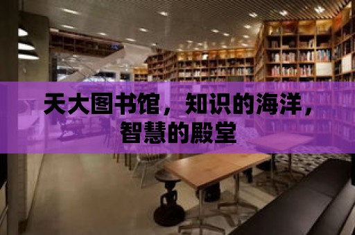 天大圖書館，知識的海洋，智慧的殿堂