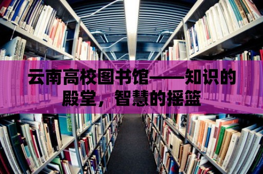 云南高校圖書館——知識的殿堂，智慧的搖籃