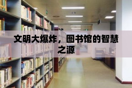 文明大爆炸，圖書館的智慧之源