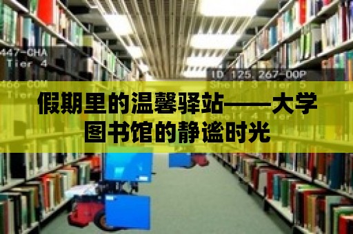 假期里的溫馨驛站——大學圖書館的靜謐時光