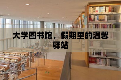 大學圖書館，假期里的溫馨驛站