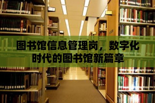 圖書館信息管理崗，數字化時代的圖書館新篇章