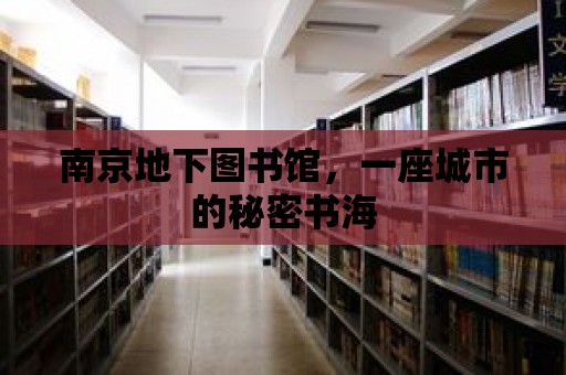 南京地下圖書館，一座城市的秘密書海