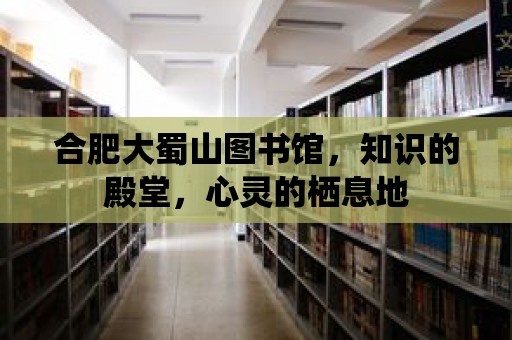 合肥大蜀山圖書館，知識(shí)的殿堂，心靈的棲息地