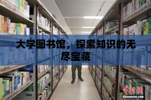 大學圖書館，探索知識的無盡寶藏