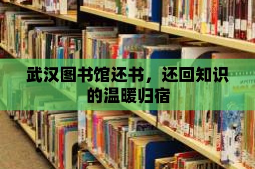 武漢圖書館還書，還回知識(shí)的溫暖歸宿