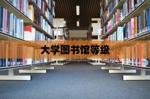 大學圖書館等級