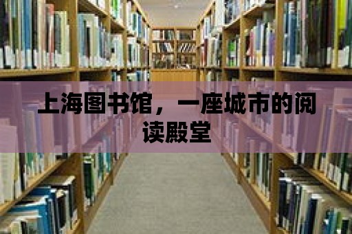 上海圖書館，一座城市的閱讀殿堂