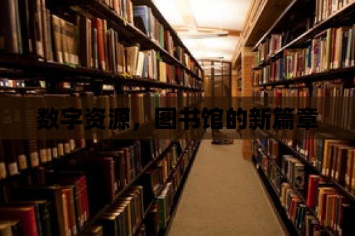 數(shù)字資源，圖書館的新篇章