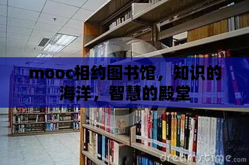 mooc相約圖書館，知識的海洋，智慧的殿堂