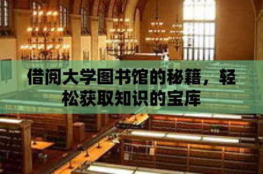 借閱大學圖書館的秘籍，輕松獲取知識的寶庫