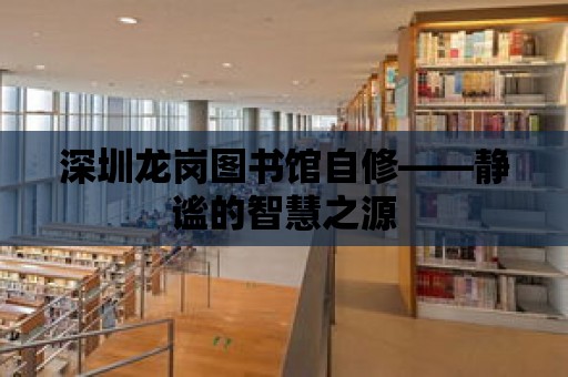 深圳龍崗圖書館自修——靜謐的智慧之源