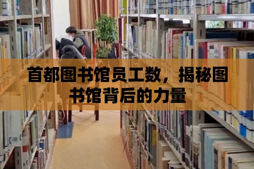 首都圖書館員工數，揭秘圖書館背后的力量