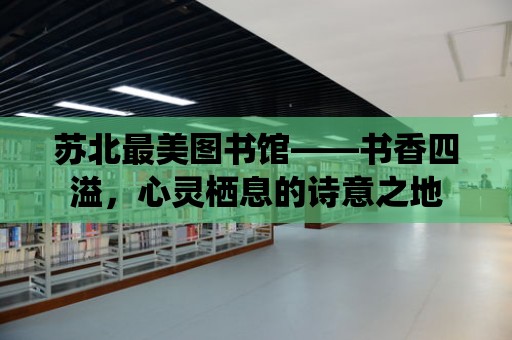 蘇北最美圖書館——書香四溢，心靈棲息的詩意之地