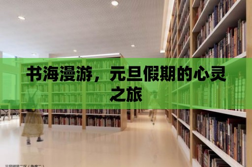 書海漫游，元旦假期的心靈之旅