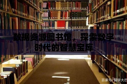 數(shù)據(jù)資源圖書館，探索數(shù)字時代的智慧寶庫