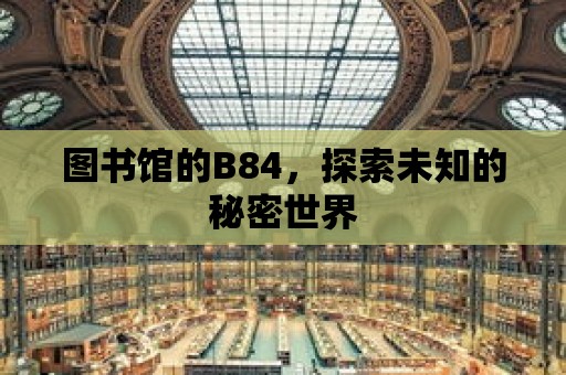 圖書館的B84，探索未知的秘密世界