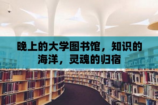 晚上的大學圖書館，知識的海洋，靈魂的歸宿