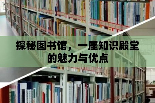 探秘圖書館，一座知識殿堂的魅力與優點