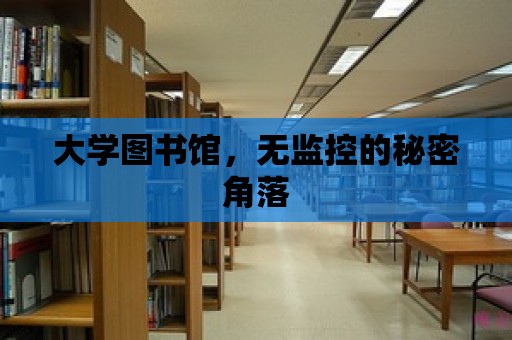 大學圖書館，無監控的秘密角落