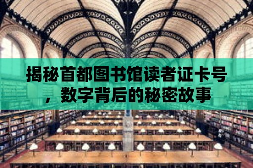 揭秘首都圖書館讀者證卡號，數字背后的秘密故事