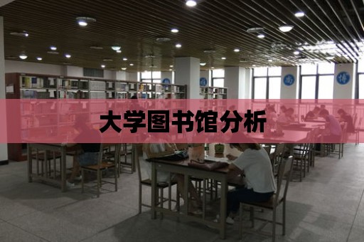 大學(xué)圖書館分析