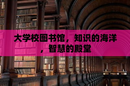 大學(xué)校圖書館，知識的海洋，智慧的殿堂