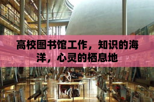 高校圖書館工作，知識(shí)的海洋，心靈的棲息地