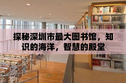 探秘深圳市最大圖書館，知識的海洋，智慧的殿堂